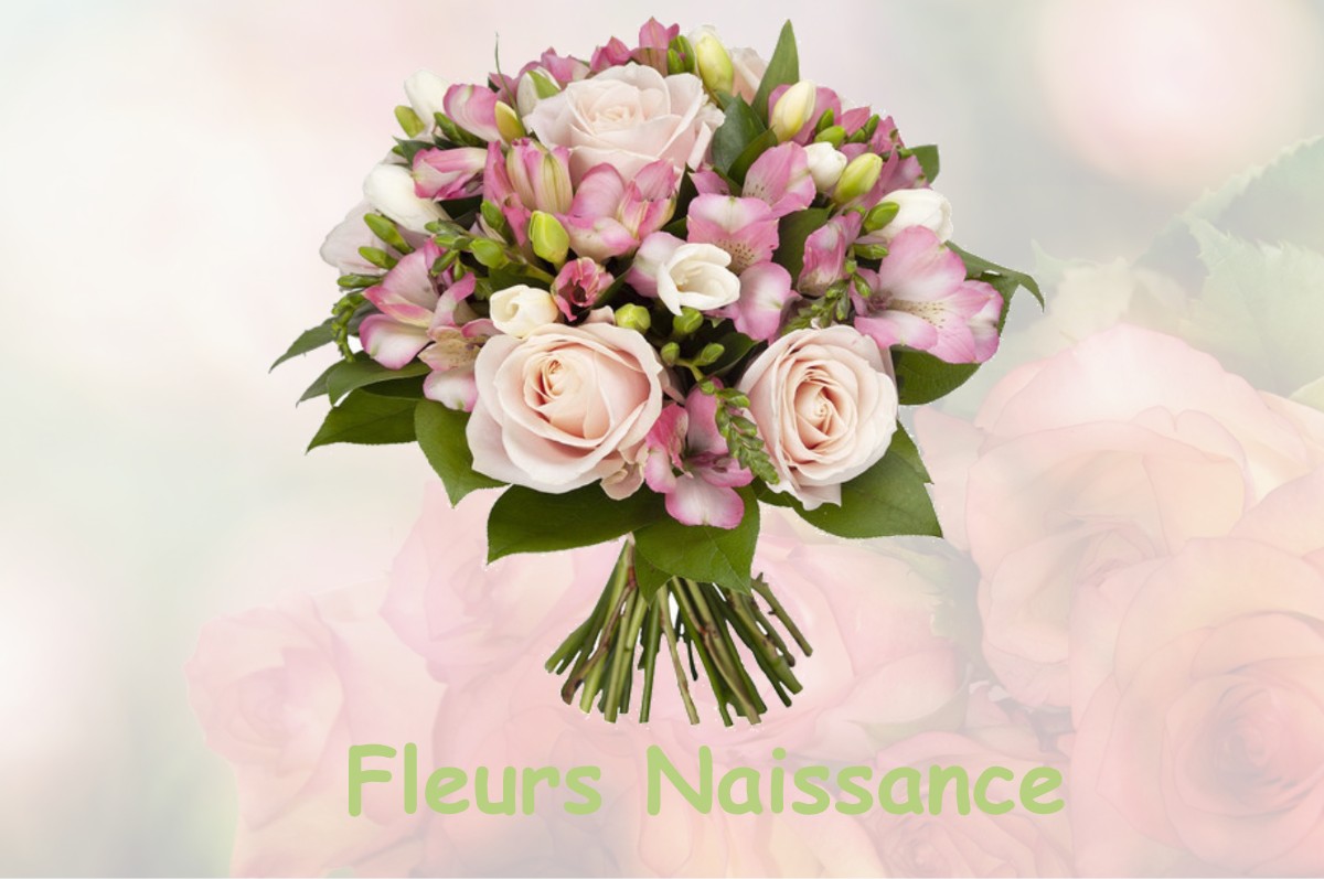 fleurs naissance TAUSSAC-LA-BILLIERE
